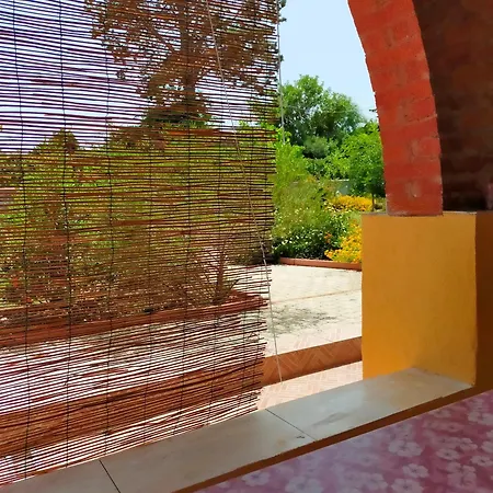 Hébergement de vacances Casa Marina Lu Tuvaraggiu *