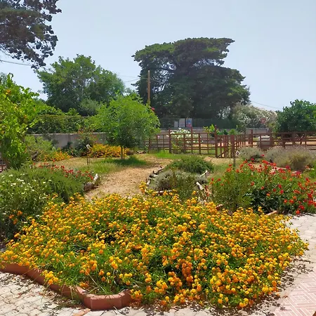 Hébergement de vacances Casa Marina Lu Tuvaraggiu *
