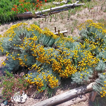 Casa Marina Lu Tuvaraggiu Hébergement de vacances