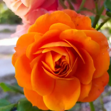 Casa Marina Lu Tuvaraggiu Hébergement de vacances