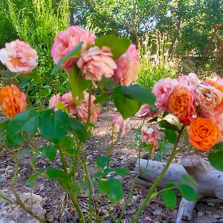Casa Marina Lu Tuvaraggiu Hébergement de vacances Sorso