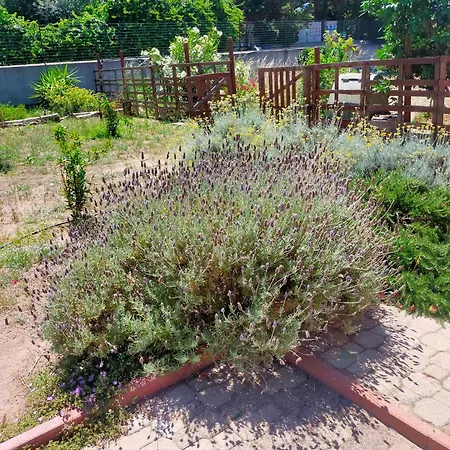 Casa Marina Lu Tuvaraggiu Semesterbostad Sorso