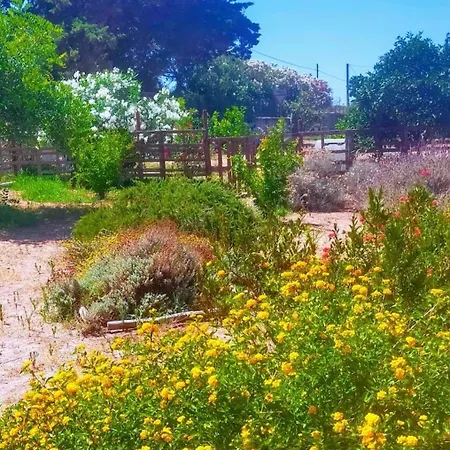 Casa Marina Lu Tuvaraggiu * Sorso