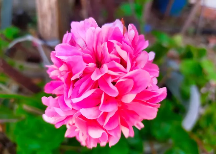 Casa Marina Lu Tuvaraggiu